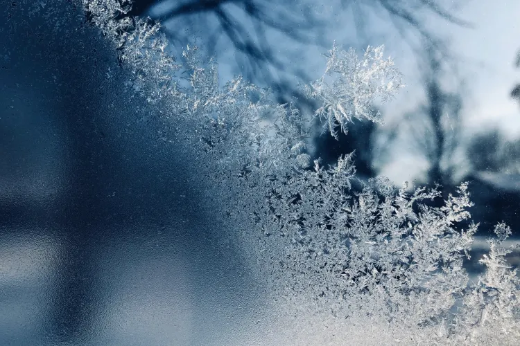 FOTO - Minus 31 de grade, joi la Întorsura Buzăului, în cea mai friguroasă dimineață din acest an. Vezi ce temperaturi au fost la Cluj-Napoca