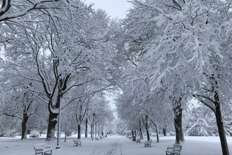 Cod galben de ninsori și viscol în Cluj. Meteorologii anunță: Un ciclon polar vine peste România!