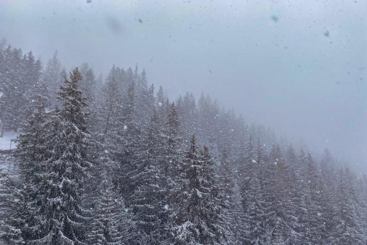  COD ROȘU de ninsoare însoțită de vânt în județul Cluj! A fost emis un mesaj Ro-Alert