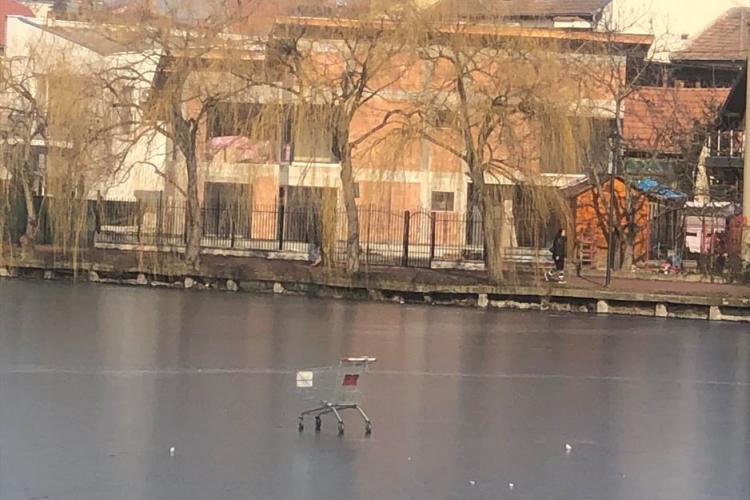 S-au dat cu căruciorul de cumpărături pe lacul de la Iulius Mall? Atenție la riscuri- FOTO
