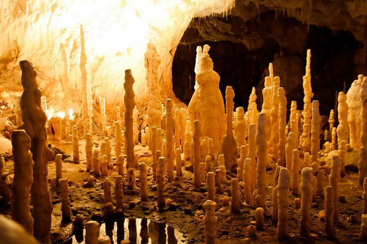 Peștera Urșilor, din Munții Apuseni, este o minune a naturii. Cum ajungi acolo și care este orarul
