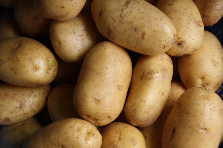 România exportă cartofi şi îi importă congelaţi. Cifrele ajung la 16 mil. de euro pentru că nu există nicio unitate în țară pentru spălare și congelare