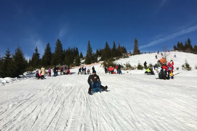 VIDEO - Imagini cu pârtiile din județul Cluj. Pârtiile Buscat, Băișoara, Feleacu și Mărișel, numai bune de vizitat