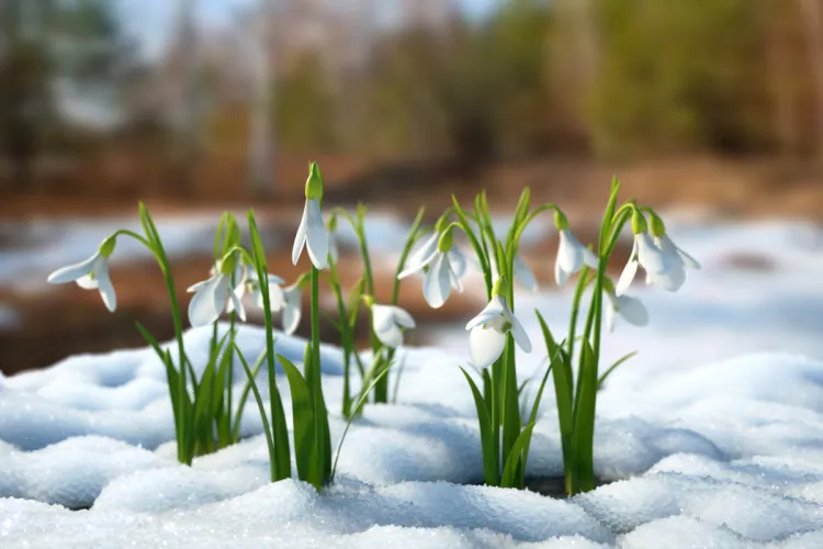 Vremea se încălzește considerabil în Cluj-Napoca. Maximele din această săptămână vor ajunge la 12 grade Celsius