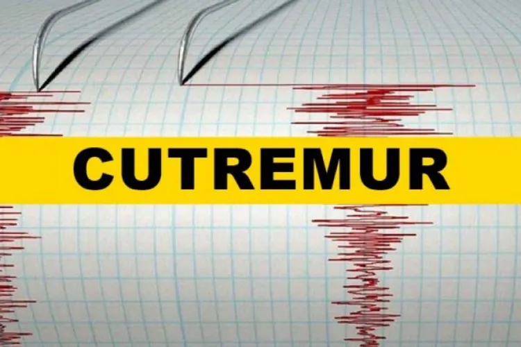 Un nou cutremur s-a resimțit la Cluj, marți, 14 februarie / Au urmat alte patru replici mult mai reduse ca putere