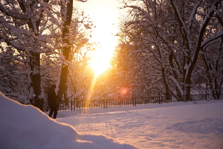 ANM anunță o încălzire semnificativă săptămâna viitoare după gerul din această perioadă! Vremea 6 - 19 februarie 2023