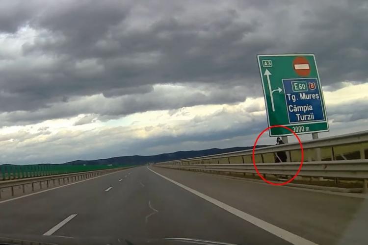 Un polițist ascuns după balustradă ”vâna” șoferii cu radarul mobil pe Autostrada Transilvania - FOTO