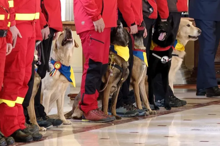 Curajoșii câini de salvare din Cluj și partenerii lor, decorați de Klaus Iohannis pentru misiunea din Turcia