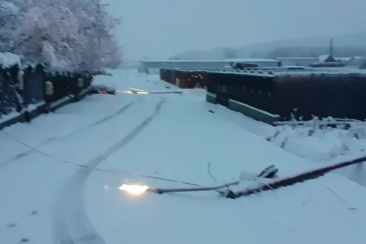 Iarna a revenit in PUTERE la Cluj! Zeci de arbori si stâlpi sunt căzuți - FOTO