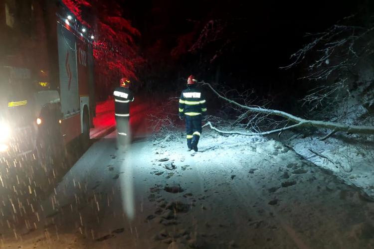 Un brad a căzut pe o strada din Mănăștur. Sunt zeci de copaci căzuți in județul Cluj
