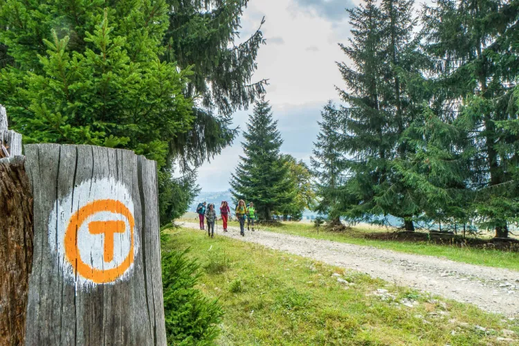 Banca Transilvania și Tășuleasa Social, parteneriat pe termen lung pentru sustenabilitatea Via Transilvanica 