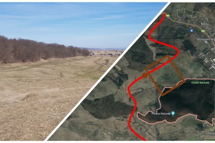 Comoara clujenilor, peisajul superb al pășunilor din Hoia-Baciu, va fi tăiat în două de Centura Metropolitană. Profesor UBB: „E inadmisibil”