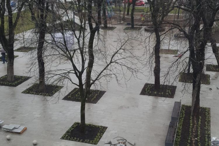 ”Copacii au devenit insule într-o mare de beton” - Așa arată acum Parcul din spatele Teatrului din Cluj-Napoca - FOTO