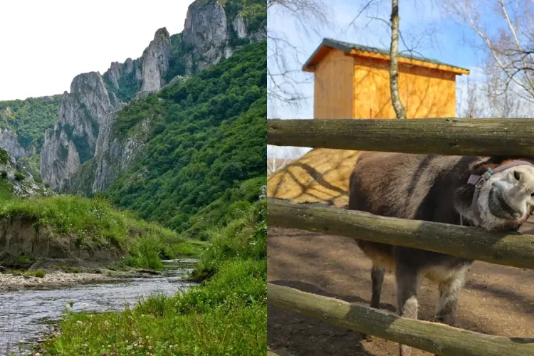 Super locații de vizitat în weekend la doar 30 de minute cu mașina de Cluj-Napoca