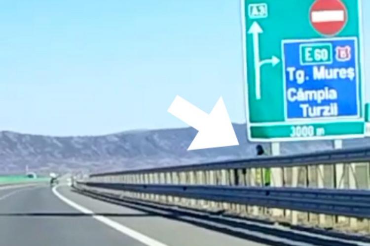 Polițistul care se ascunde cu pistolul radar pe Autostrada Transilvania prins din nou în ”FLAGRANT” - FOTO