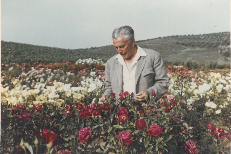 Rudolf Palocsay, omul care a făcut Clujul un Rai al florilor! Creștea lanuri de garoafe și trandafiri pe dealul de lângă satul Borhanci - FOTO