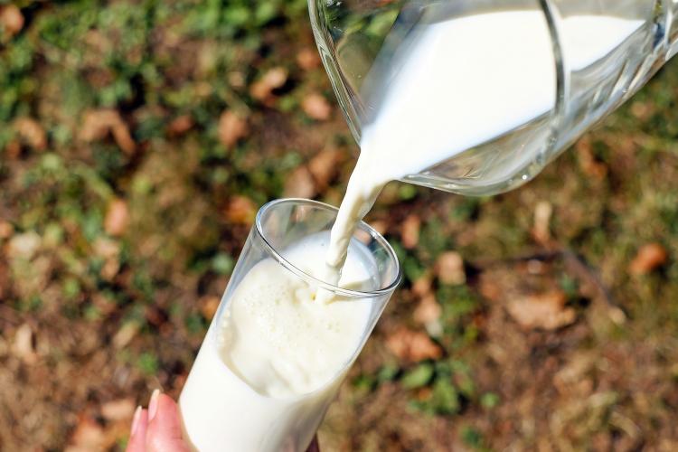 Cât costă un litru de lapte la fermieri și cu cât se vinde la raft. ”Lăcomia supermarketurilor” face ca laptele să fie mai scump ca în Occident