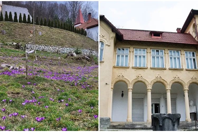 A venit primavara la Ciucea, la superbul Castel Goga - FOTO