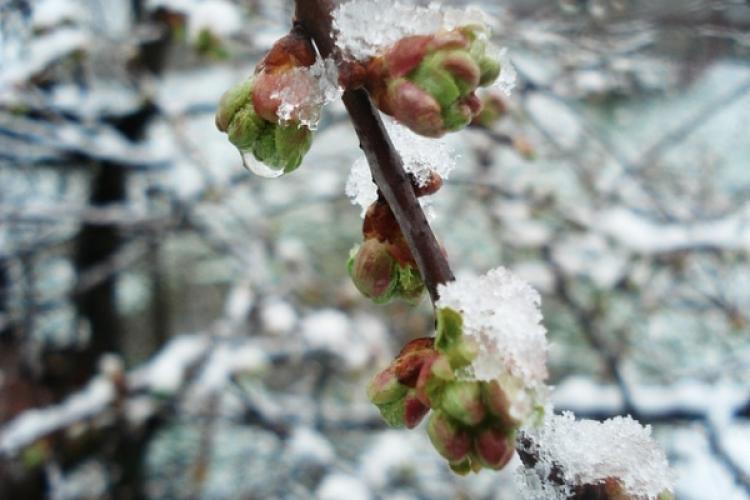 După o săptămână cu temperaturi de vară, revine frigul! Anunțul meteorologilor: „Miercuri se pare că se va răci ușor”