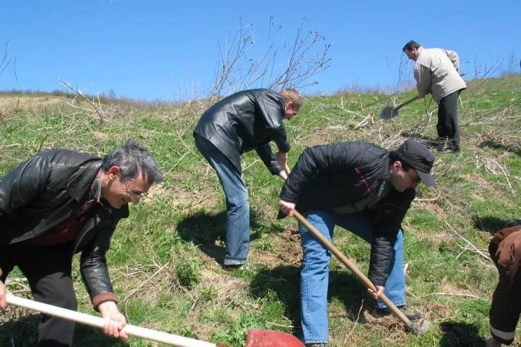 Padurea Tineretului de pe Bulevardul Muncii prinde forma! 2.500 de puieti plantati in prima zi - FOTO