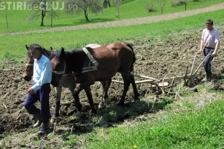 PSD Cluj: Taranii merg 50-60 de kilometri pentru a ajunge la un centru APIA