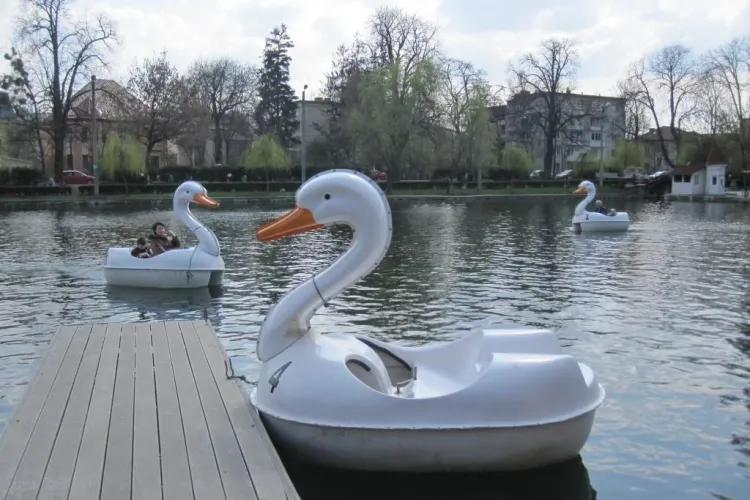 Barci si hidrobiciclete pe lacul din Parcul Central! VEZI preturile