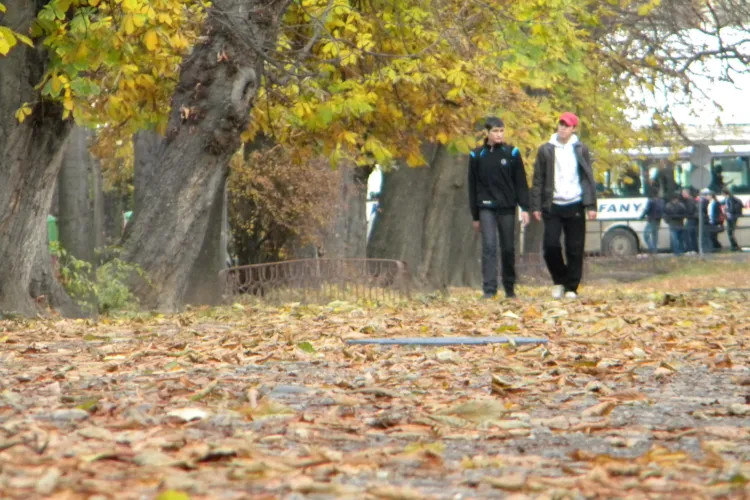 Parcul Central din Cluj Napoca va fi inchis partial pentru lucrarile de modernizare! Contractul cu firma ACI va fi semnat luni, 11 aprilie - VIDEO