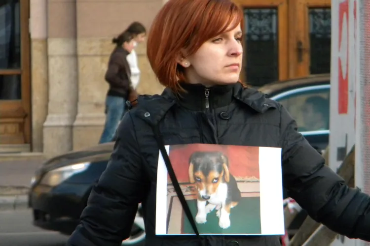 Flash mob anti eutanasierea cainilor in Piata Unirii - VIDEO si FOTO