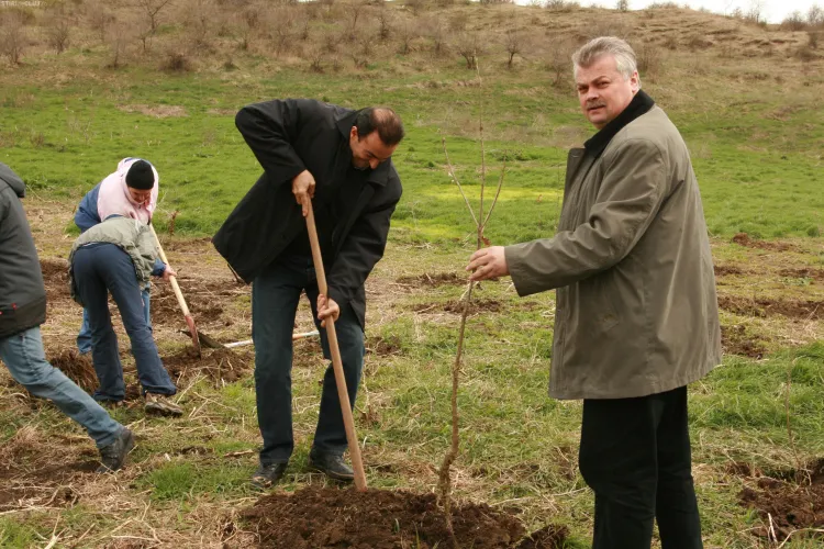 Sorin Apostu a plantat arbusti in Padurea Tineretului - VIDEO si FOTO