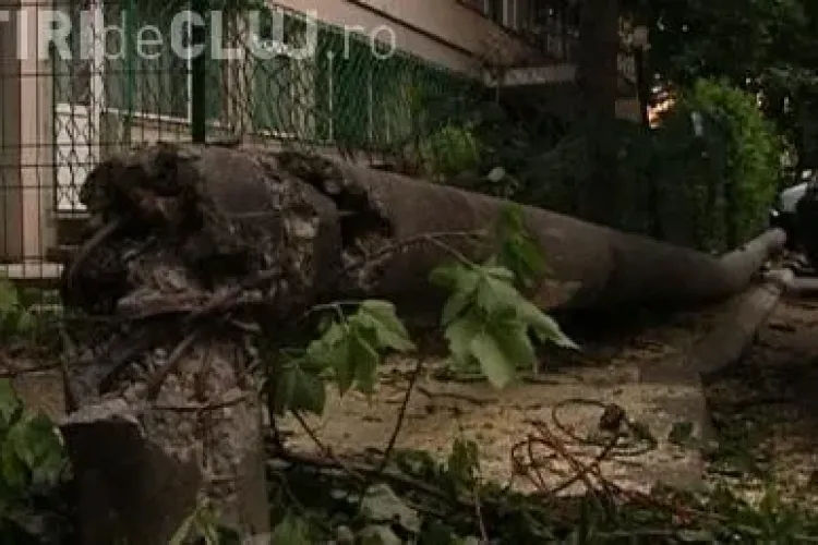 Un TIR a rupt doi stalpi in Campia Turzii