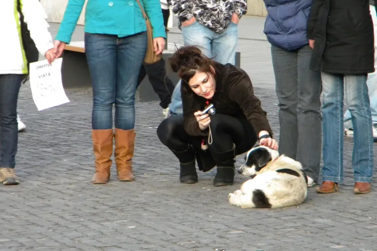 Vezi imagini de la flash mob -ul anti eutanasiere din Piata Unirii Cluj - Galerie FOTO