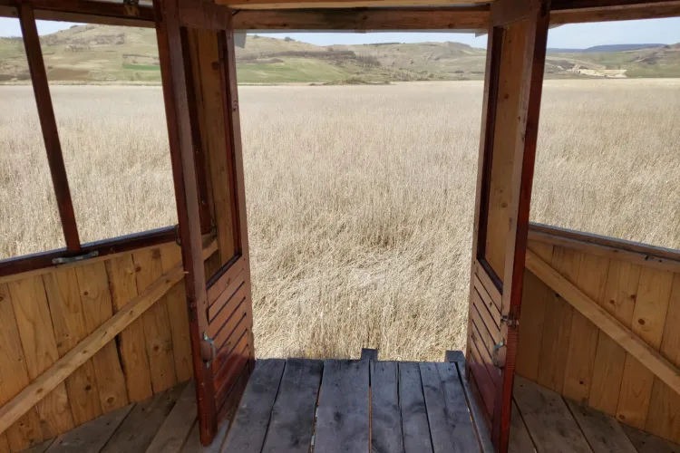 Unde fugim în weekend! Stufărișurile de la Sic sunt o variantă foarte bună