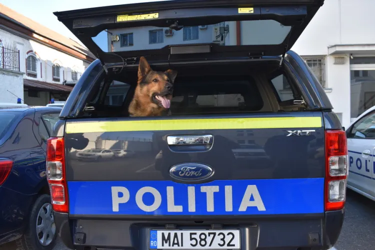 Cruzime la un adăpost de animale din Cluj. Polițiștii au demarat cercetările