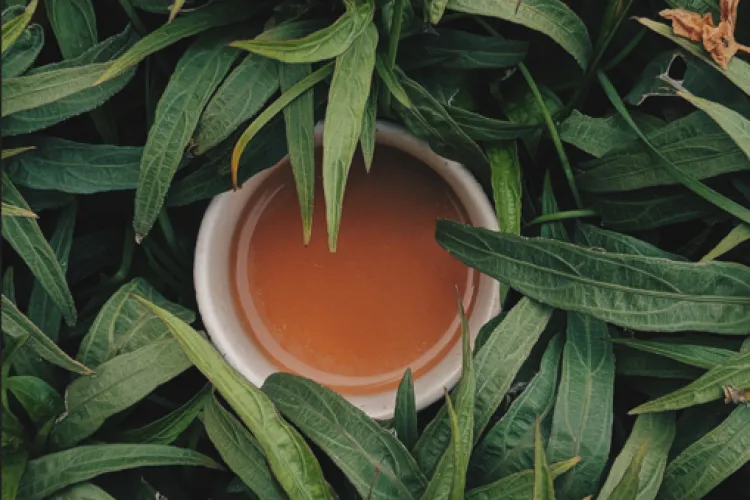 Ce ceaiuri se recomandă în funcție de diferite probleme de sănătate, și nu numai. Cel de ghimbir, bun pentru digestie