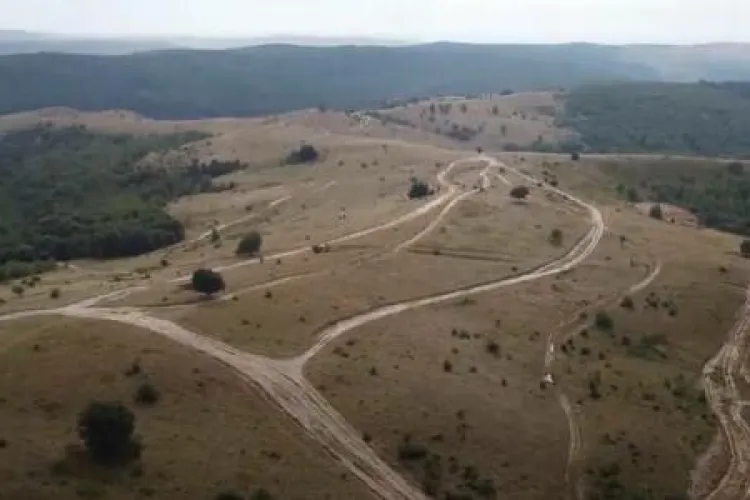 Se extinde masiv intravilanul în Făget, până la limita ariei protejate! Activiștii civici îl acuză pe Tișe: „A pus semnătura pe distrugerea Făgetului”