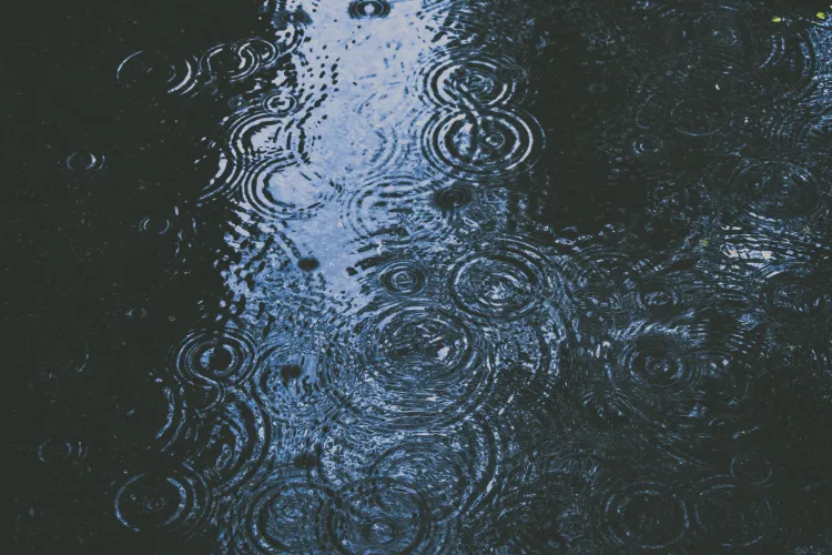 Frig și ploi în săptămânile următoare! ANM a actualizat prognoza meteo pentru 27 martie - 24 aprilie 2023