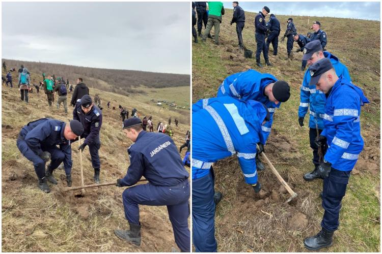 Cu ocazia zilei lor, jandarmii clujeni au plantat copaci la Cluj: „Cel care plantează un copac, plantează o speranță” 