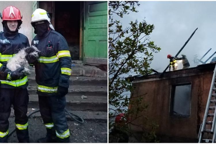 Cățel salvat dintr-o casă cuprinsă de flăcări la Cojocna. Din fericire, familia nu era în interior - FOTO
