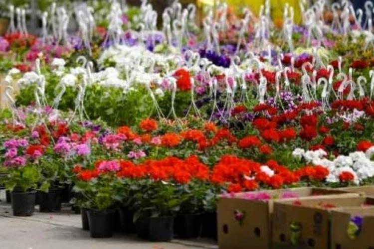 Mămicile din Florești nu mai au loc să treacă cu căruciorul pe trotuare din cauza vânzătorilor de flori și petarde: „Vânzările să se facă în piață”