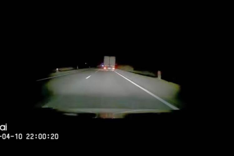 VIDEO. Urs lovit de mașină pe șoseaua Cluj-Gherla. Animalul a apărut brusc în goană printre mașini, nu a putut fi evitat