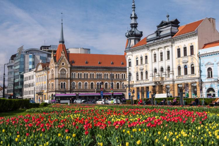Clujul e un paradis de flori și culori! Să ne bucurăm de primăvară! - Galerie FOTO