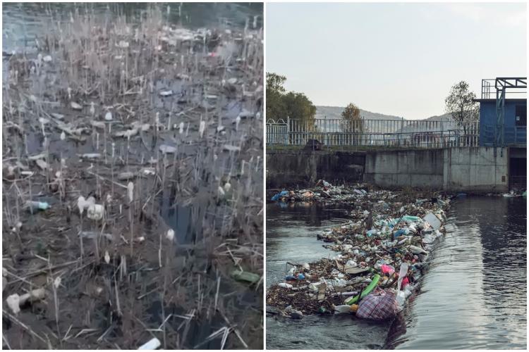 VIDEO. Problema sistematică a deșeurilor aruncate în Someș, un dezastru biologic care trebuie evidențiat 