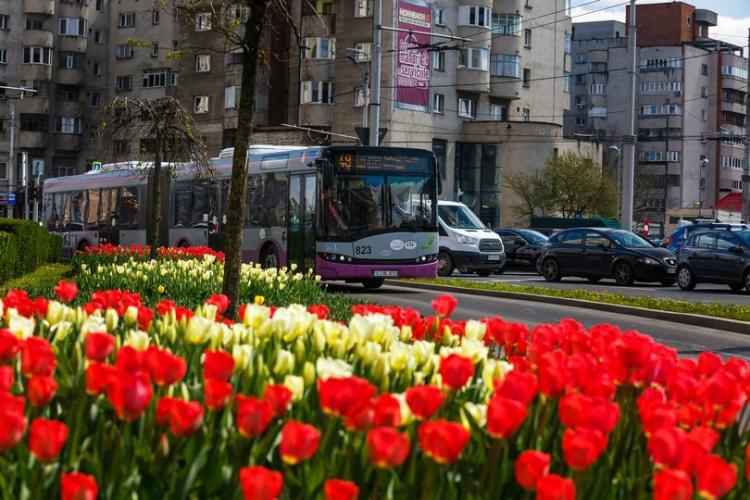 Programul transportului public în Noaptea de Înviere, la Cluj-Napoca