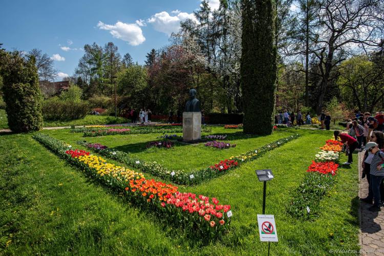 Feerie de culori în Grădina Botanică din Cluj-Napoca. Vizitatorii au avut parte de o zi perfectă - FOTO