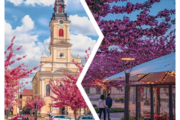 Oradea a înflorit! Imagini sublime din cel mai frumos oraș din Ardeal - Galerie FOTO