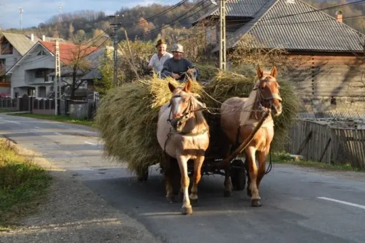În ce localitate din România primești GRATUIT o casă, cu o singură condiție