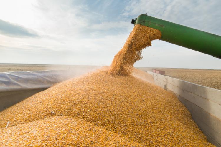 PSD vrea să suspende importurile de cereale ieftine din Ucraina