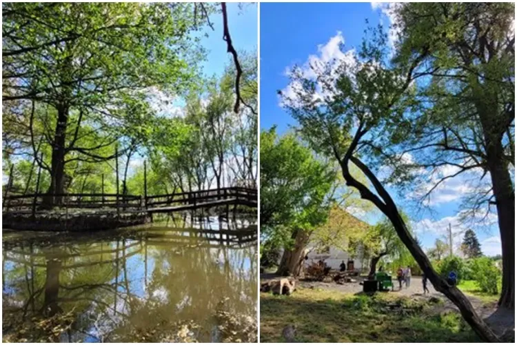 Satul de poveste, necunoscut de români, care a devenit una din cele mai căutate atracții în 2023. „A fost accesat de pe Google Maps de 750.000 de ori“