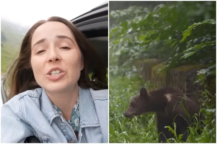 Turiști americani, rămași dezamăgiți de experiența „celui mai spectaculos drum din lume” din excursia lor în România: „Nu faceți greșeala asta”