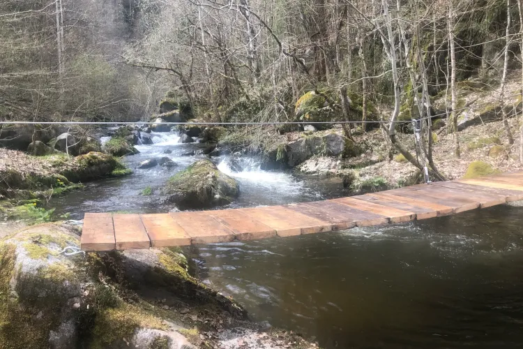 Salvamontiștii clujeni au realizat o punte suspendată în defileul Someșul Cald - Mărișel - FOTO